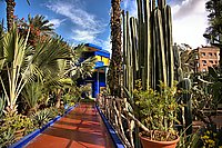 Bernhard Saalfeld - Jardin Majorelle